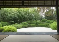 丈山苑の写真・動画_image_212849