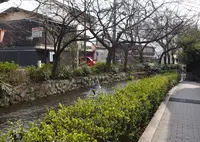 高瀬川の写真・動画_image_223633