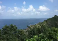 大間越街道の写真・動画_image_249091