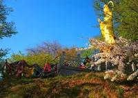 利賀村の写真・動画_image_264826