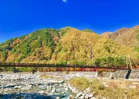 駒ヶ根ファームスの写真・動画_image_278361