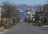 八幡坂の写真・動画_image_293897