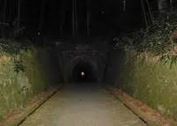 国登録文化財「明治宇津ノ谷隧道」の写真・動画_image_301139
