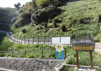 灘黒岩水仙郷の写真・動画_image_305273