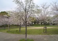 桜ノ宮公園の写真・動画_image_305861