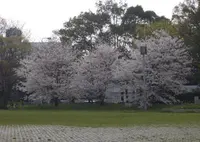 難波宮跡公園の写真・動画_image_305866