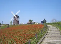 花博記念公園鶴見緑地の写真・動画_image_305867