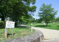 城北公園の写真・動画_image_308970