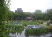 城北公園の写真・動画_image_308971