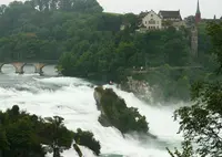 Rhine Fallsの写真・動画_image_309741