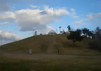 新夕陽ヶ丘(舞洲スポーツアイランド内)の写真・動画_image_310894