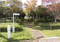 舞洲緑地の写真・動画_image_310902