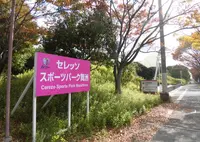 セレッソ舞洲人工芝グラウンドの写真・動画_image_310906