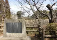 郡山城跡の写真・動画_image_312971