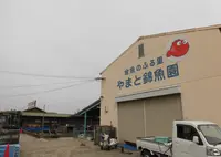 有限会社 やまと錦魚園の写真・動画_image_312976