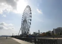 はい！からっと横丁の写真・動画_image_315702