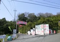 城山オレンヂ園の写真・動画_image_317055
