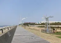 あらい浜風公園の写真・動画_image_323548