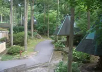グリーンエコー笠形の写真・動画_image_341287