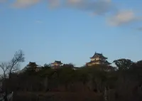 和歌山城の写真・動画_image_341995