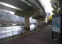 ふれあいの岸辺の写真・動画_image_343379