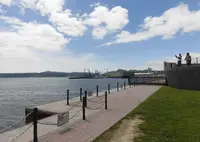 大和波止場の写真・動画_image_343950