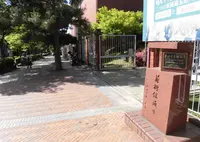 美術館通りの写真・動画_image_343957