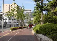 蔵本通りの屋台の写真・動画_image_343974