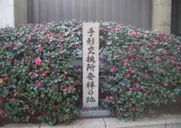 手形交換所発祥の地の写真・動画_image_348610