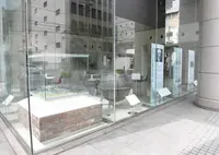 大日本住友製薬 本社の写真・動画_image_408212