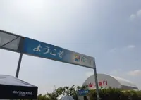 大阪舞洲ゆり園の写真・動画_image_418396