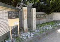 大阪医学校跡・大阪師範学校跡の写真・動画_image_420230