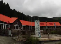 元祖そうめん流し みやなかの写真・動画_image_449769