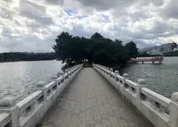 大濠公園の写真・動画_image_452370