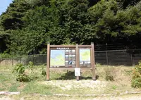 若狭湾国定公園の写真・動画_image_457613
