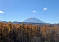 メープル街道393の写真・動画_image_462023