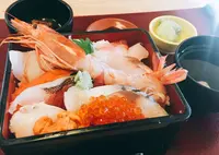 松島の写真・動画_image_469034