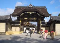 元離宮 二条城の写真・動画_image_472379