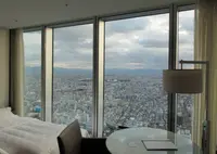 大阪マリオット都ホテルの写真・動画_image_483737