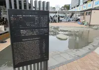 家康の湯の写真・動画_image_493854