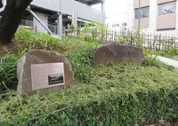 花ひろば（熱海御用邸跡公園）の写真・動画_image_495219