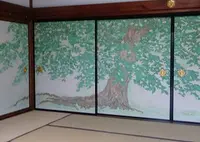 龍泉菴の写真・動画_image_496660