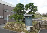 家康公鎧掛松の写真・動画_image_501782