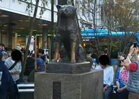 忠犬ハチ公像の写真・動画_image_512484