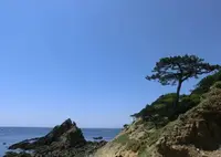 孝助松海岸の写真・動画_image_517438