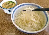 天領うどん本店の写真・動画_image_534630