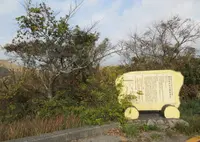 秋吉台の写真・動画_image_544084