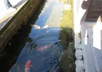 津和野城跡の写真・動画_image_554869