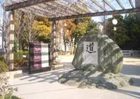 大開の写真・動画_image_563586
