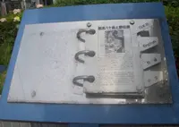 難波八十島と野田藤の写真・動画_image_563647